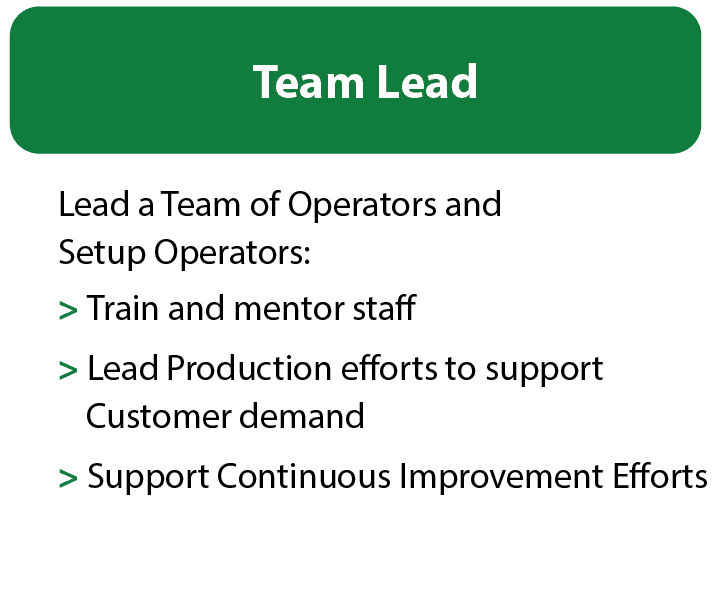 Team-Lead Team-Lead text